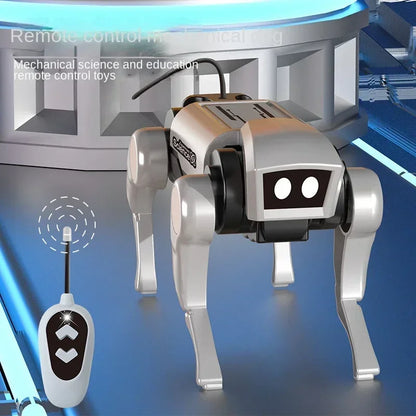 DIY RC Robot – Smart Toy for Kids
